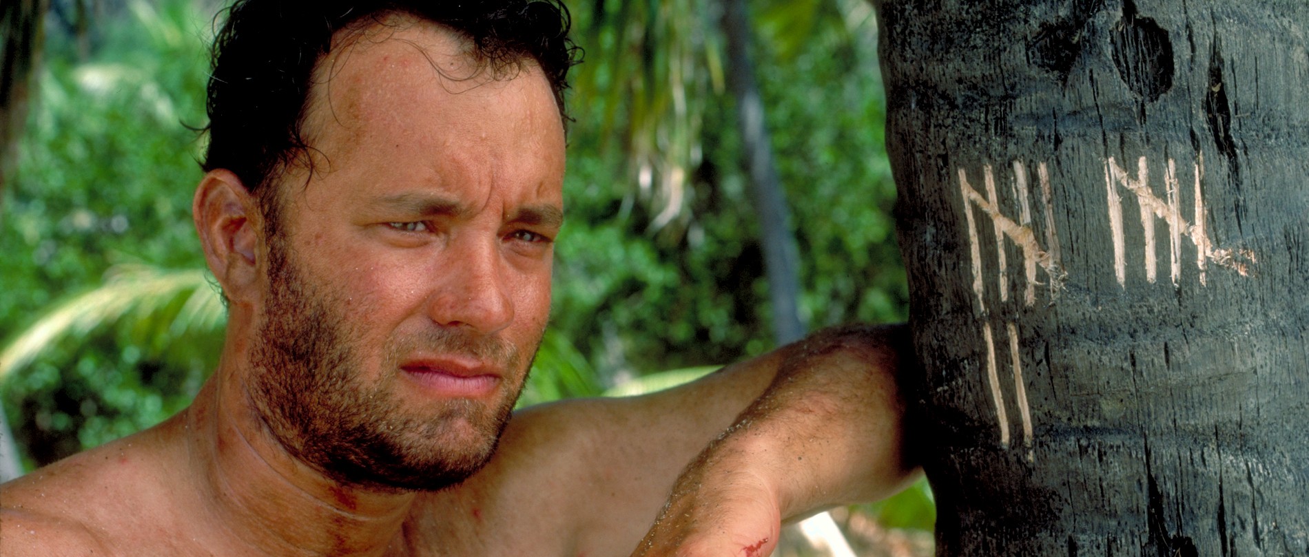 top-5-castaway-movies-don-t-starve-shipwrecked