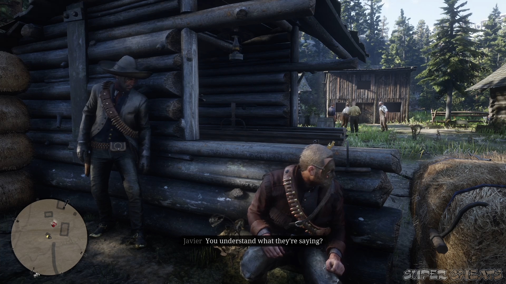 How to Rob a House or Homestead Red Dead Redemption 2