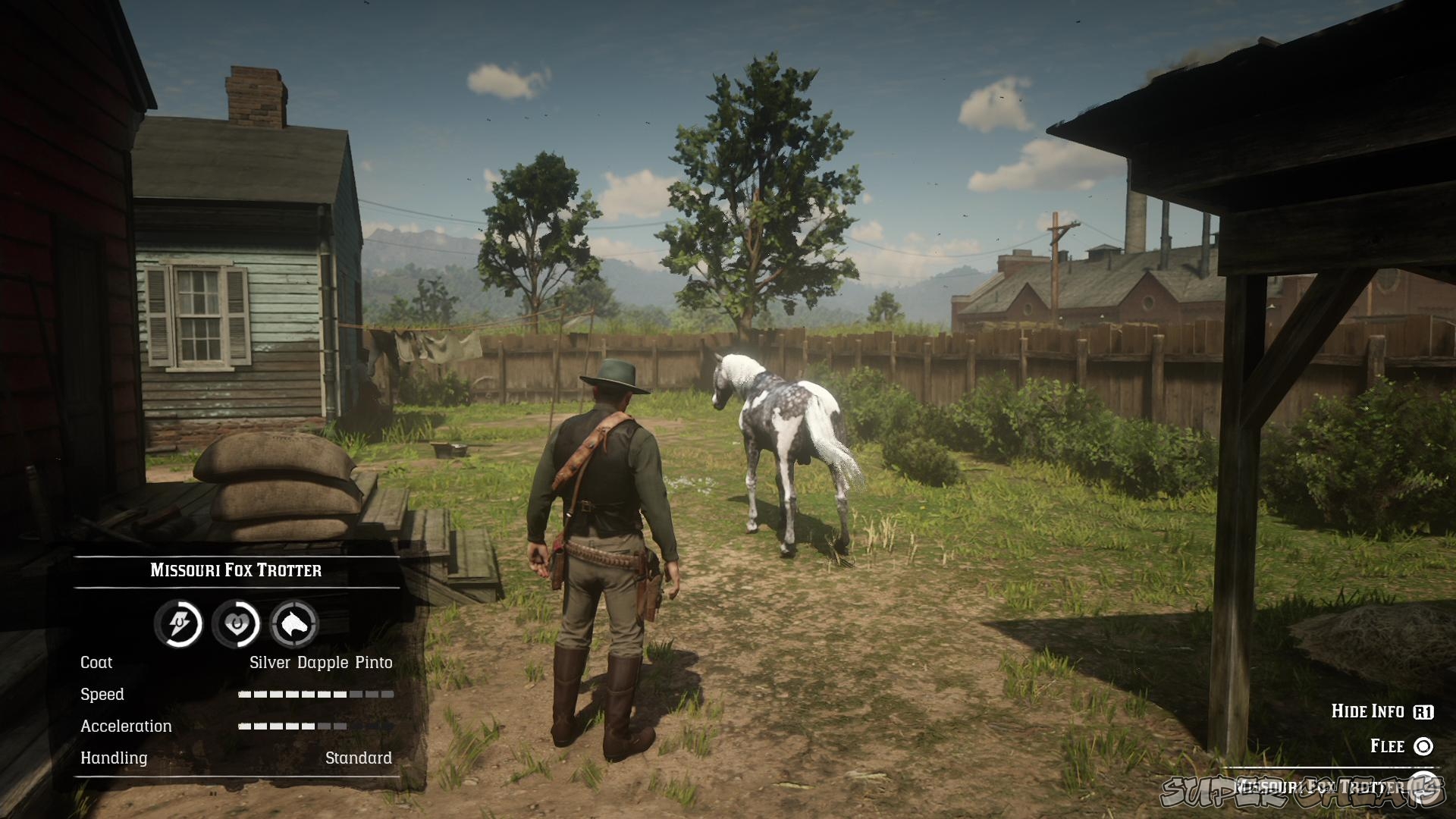 Taking Care of Your Horse Red Dead Redemption 2