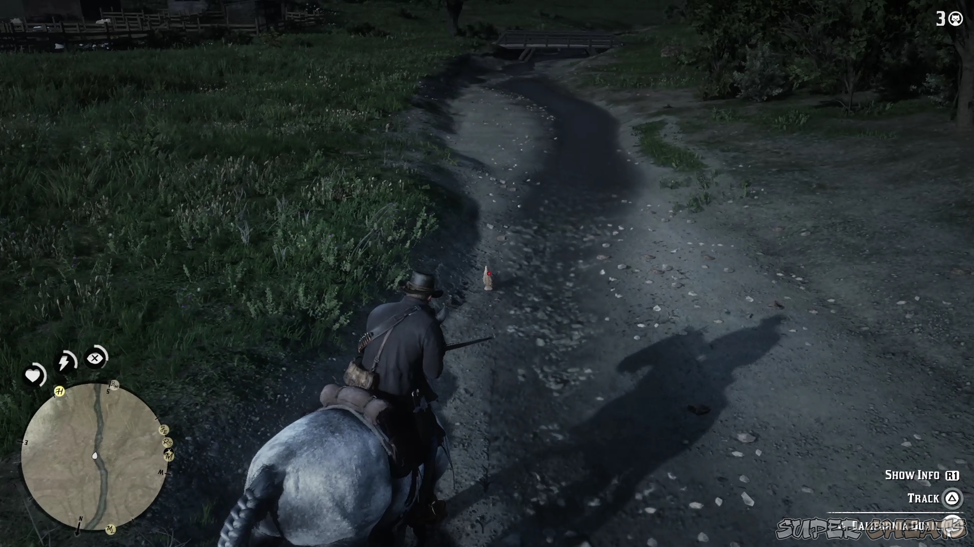 How to get Perfect Pelts and Carcasses Red Dead Redemption 2