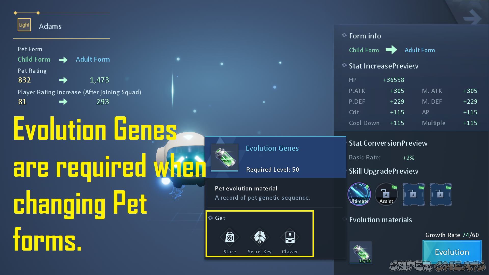 Dragon Raja Pet Guide Dragon Raja