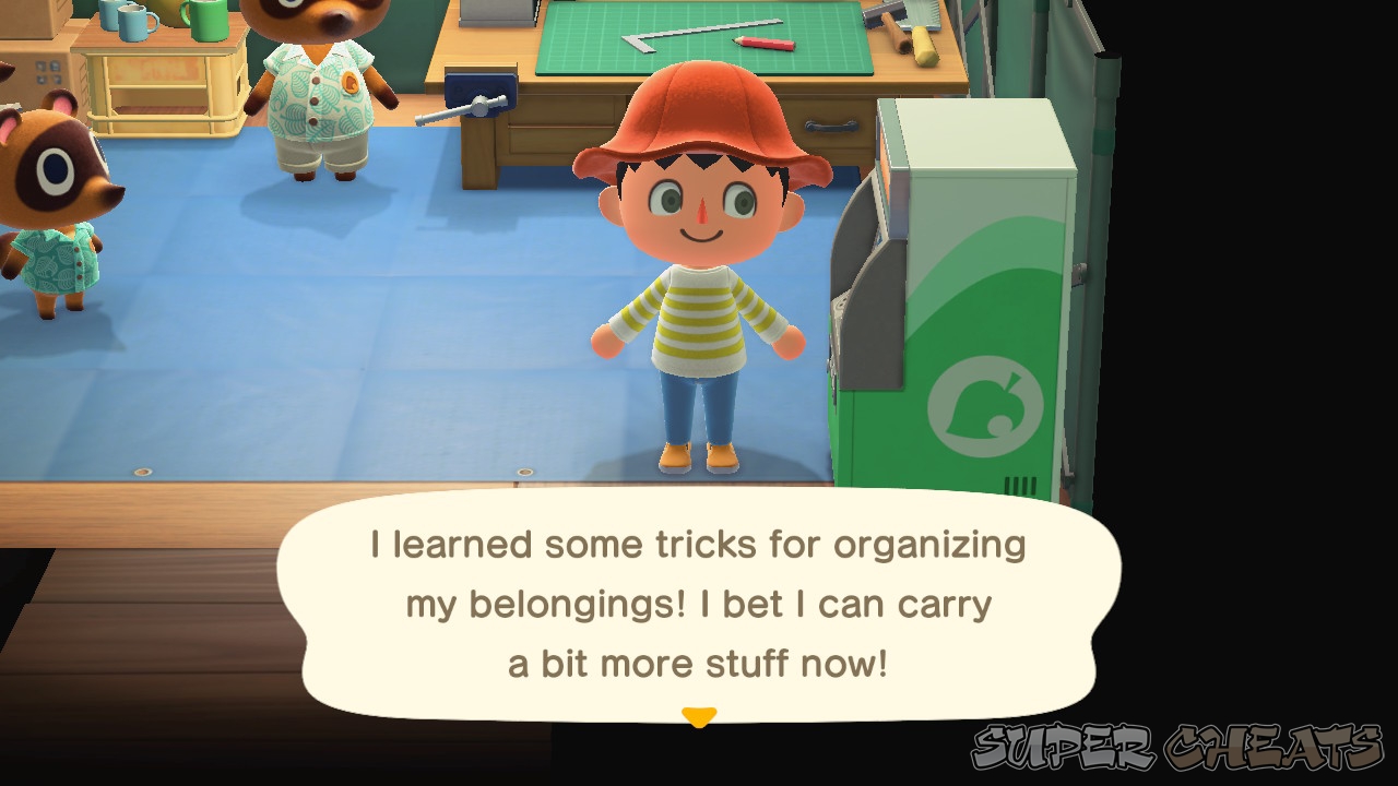 How do you increase your pocket space? Animal Crossing New Horizons