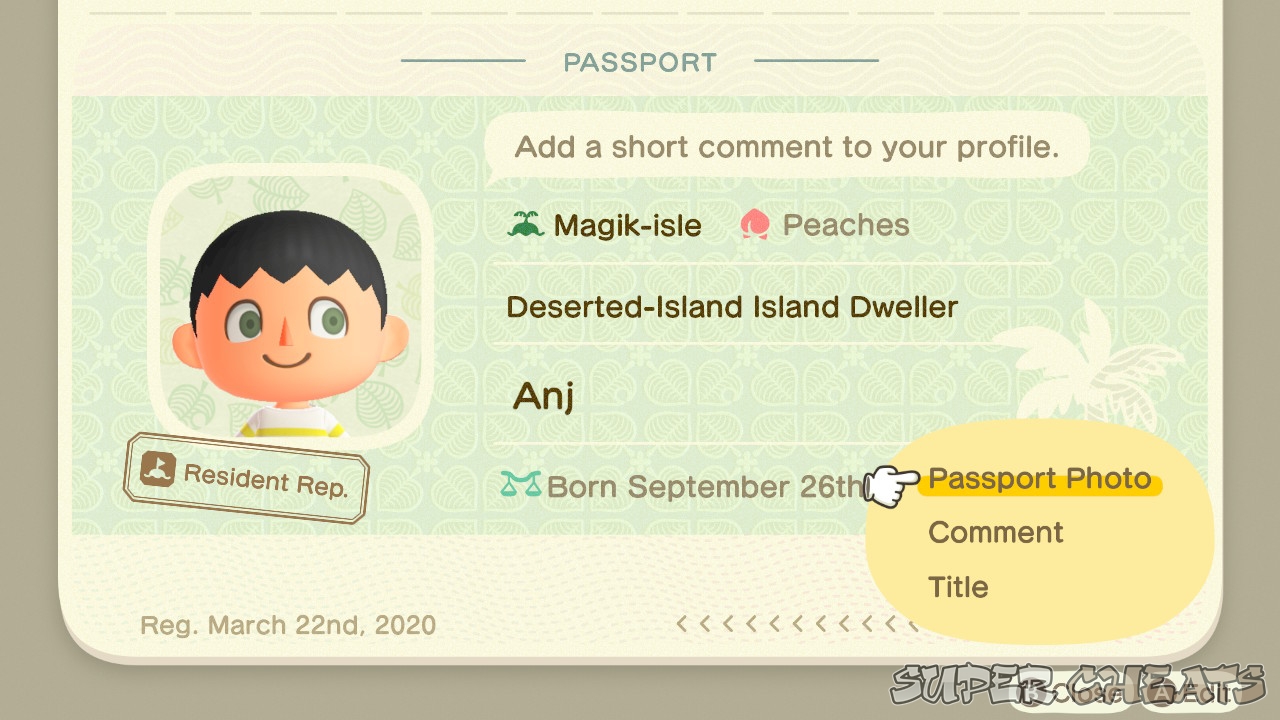 Passport Animal Crossing New Horizons