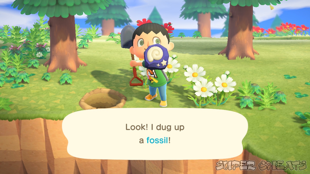 Complete List of Fossils Animal Crossing New Horizons