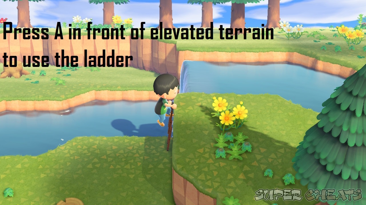 Vaulting Pole and Ladder Animal Crossing New Horizons