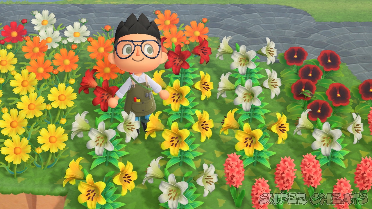 Complete List of Flowers Animal Crossing New Horizons