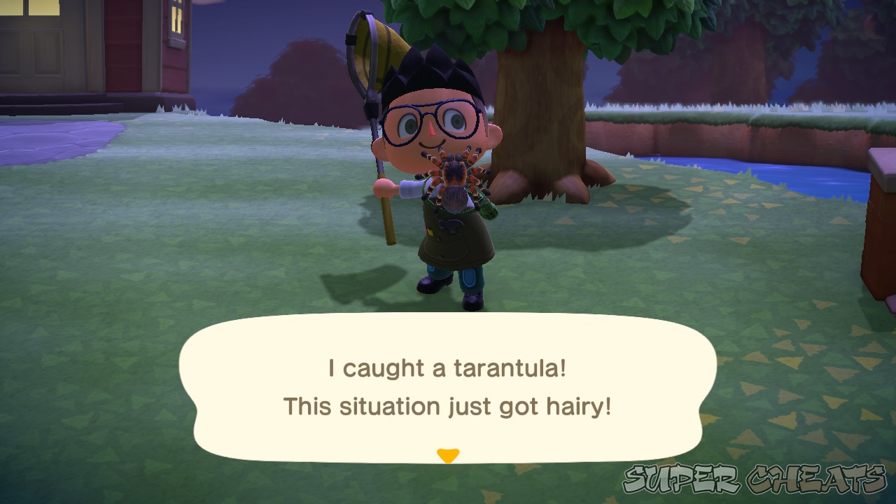 How do you catch a Tarantula? Animal Crossing New Horizons