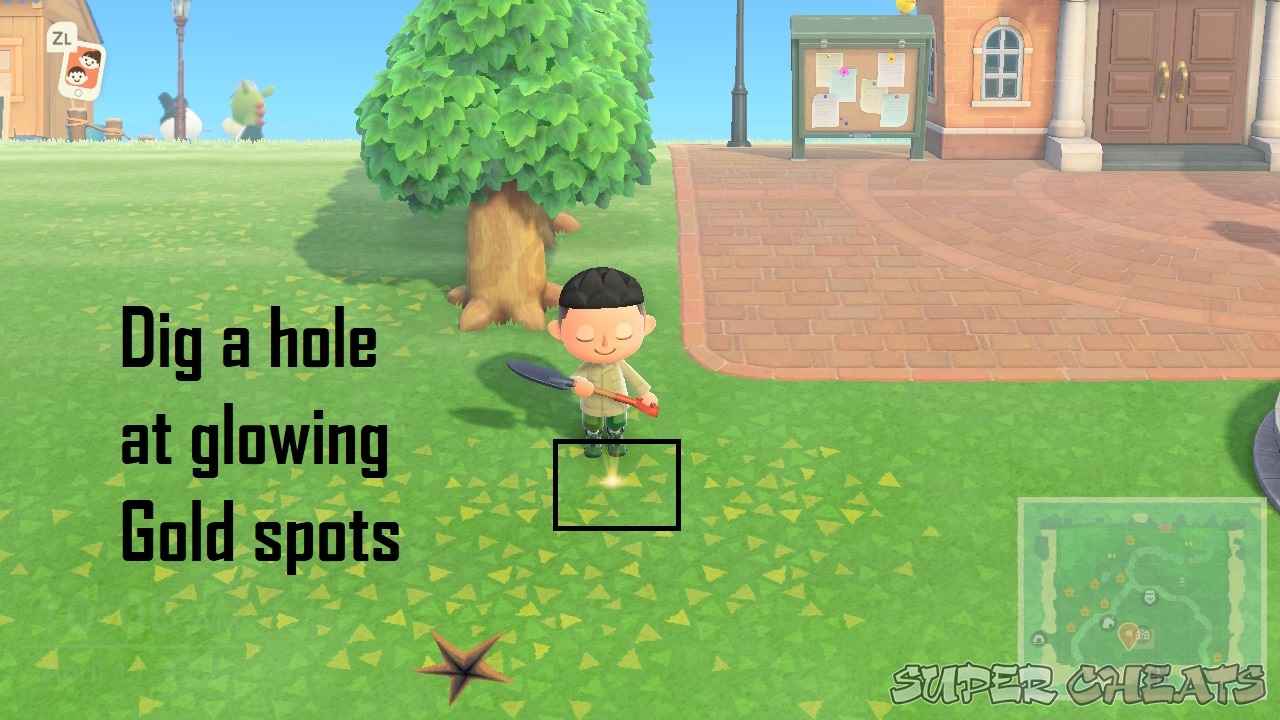 How do you grow a Money Tree? Animal Crossing New Horizons