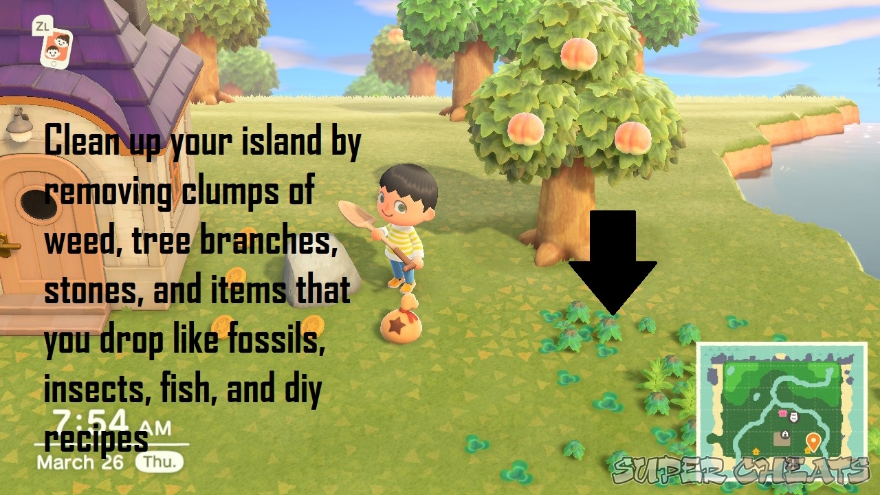 Animal Crossing 5-Star Island Rating Guide - Animal Crossing: New Horizons