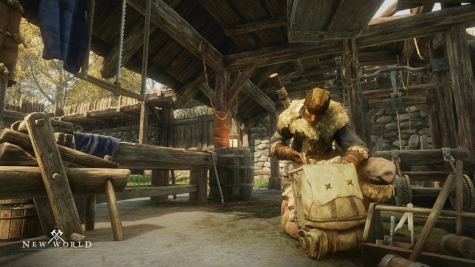 How to Increase Inventory Space New World