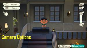 Camera - Animal Crossing: New Horizons