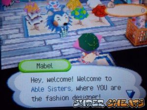 The Able Sisters' Store - Animal Crossing: Wild World