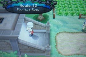 Route 12: Fourrage Road