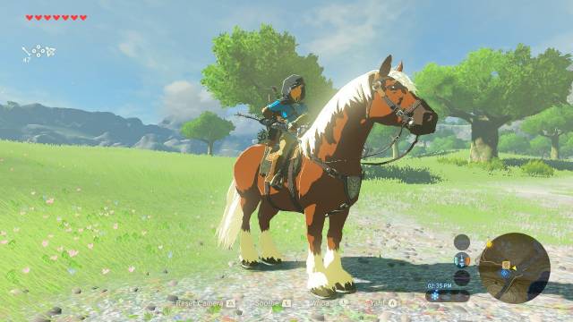 Horses The Legend Of Zelda Breath Of The Wild