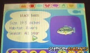  Fishing - Animal Crossing Wild World