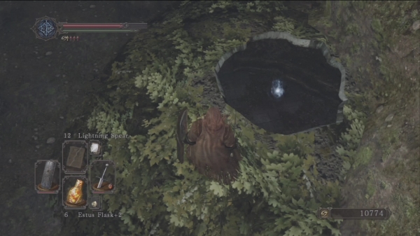 Huntsman Copse 1 Dark Souls Ii