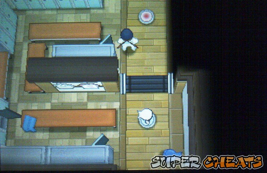 Dewford Town Gym - Pokemon Alpha Sapphire