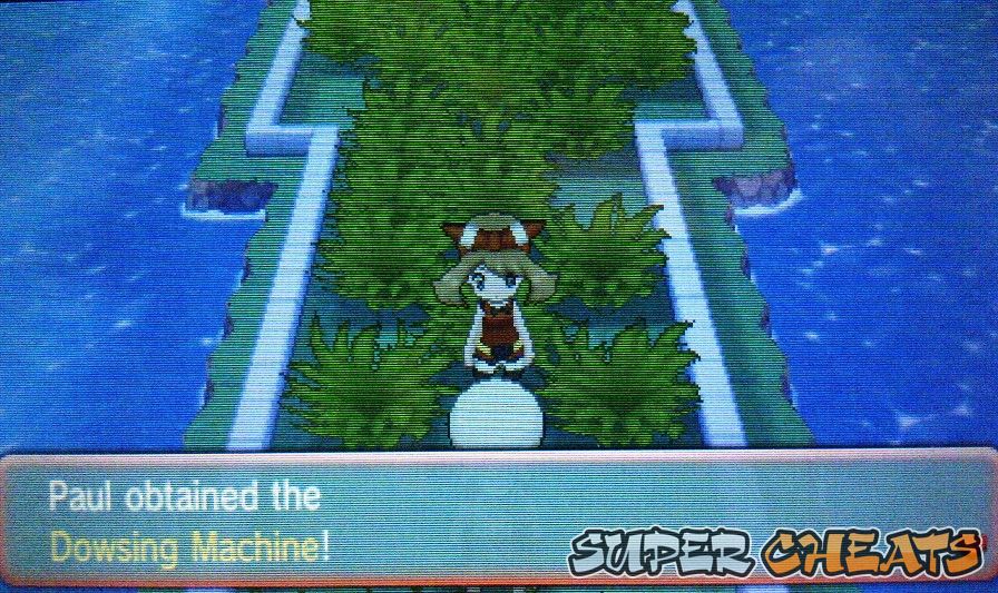 Route 110 Pokemon Alpha Sapphire