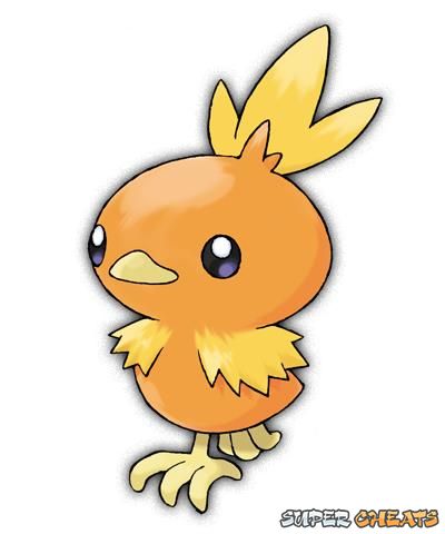 torchic pokedoll