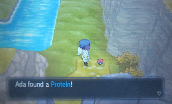 Route 15: Brun Way - Pokemon Y