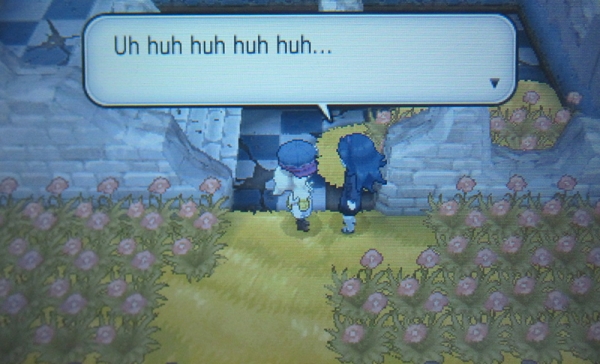 Route 15: Brun Way - Pokemon Y
