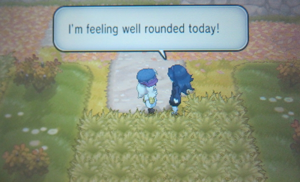 Route 15: Brun Way - Pokemon Y