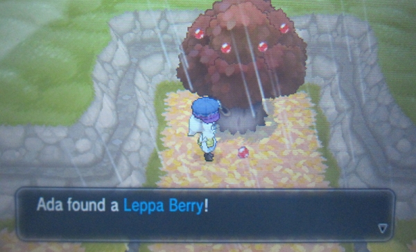 Route 15: Brun Way - Pokemon Y
