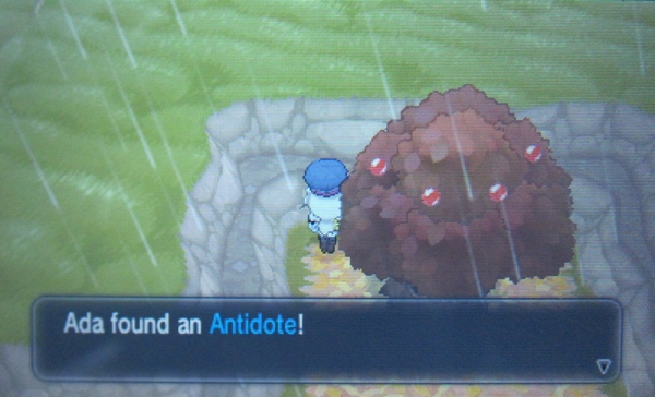 Route 15: Brun Way - Pokemon Y