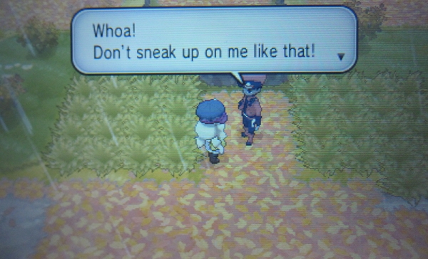 Route 15: Brun Way - Pokemon Y