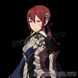 Guide Image