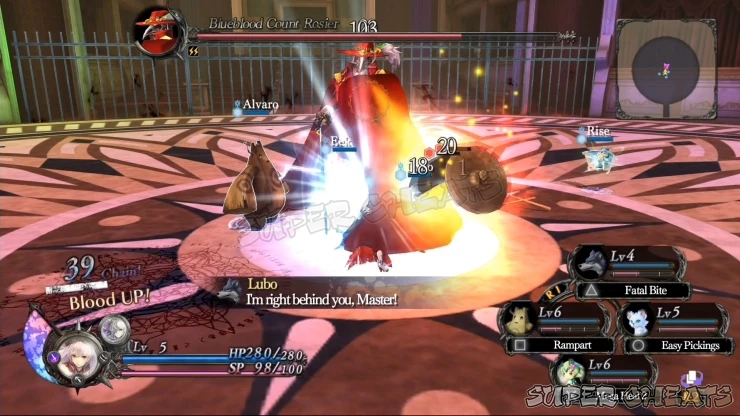 Guide Image