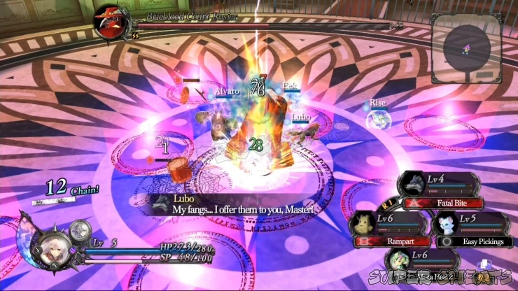 Guide Image
