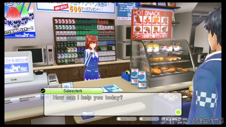 Guide Image