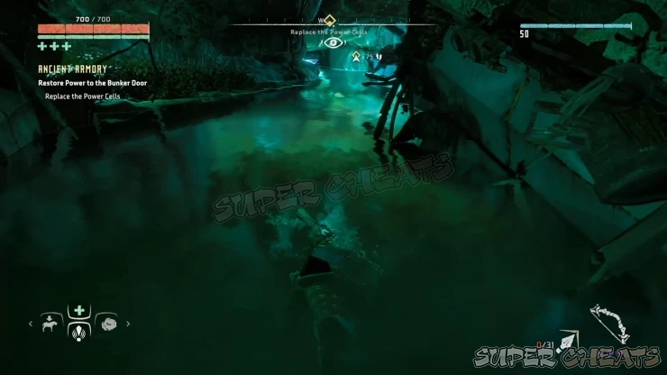 Guide Image