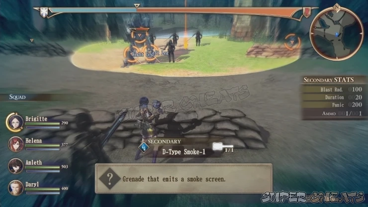 Guide Image