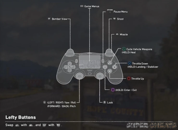 Guide Image
