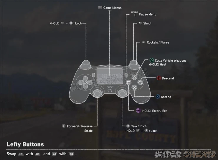 Guide Image