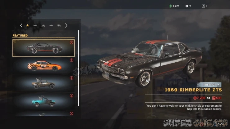 Guide Image