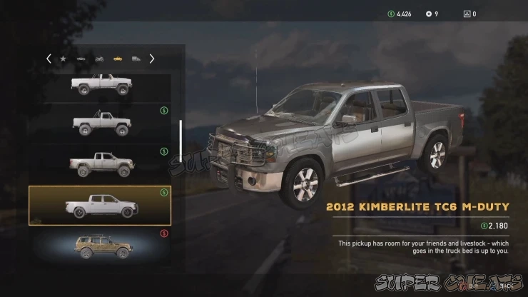 Guide Image