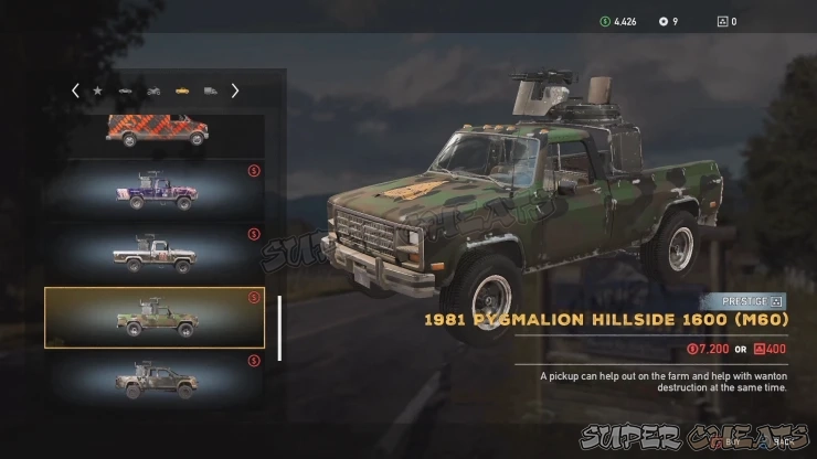 Guide Image