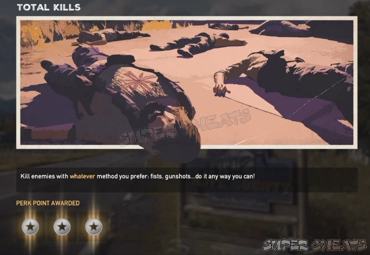 Guide Image