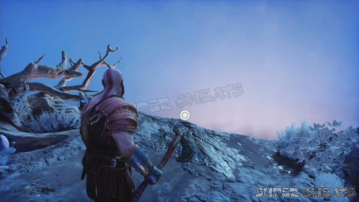 Guide Image