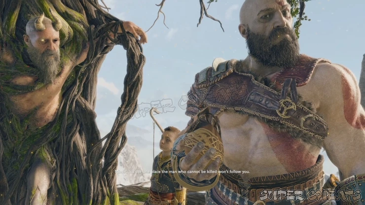 Guide Image Guide Image