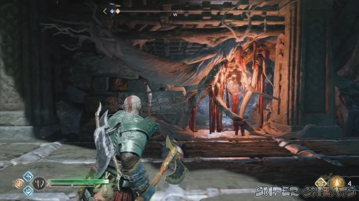 Guide Image