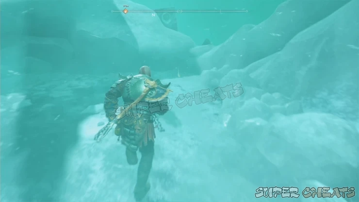 Guide Image Guide Image