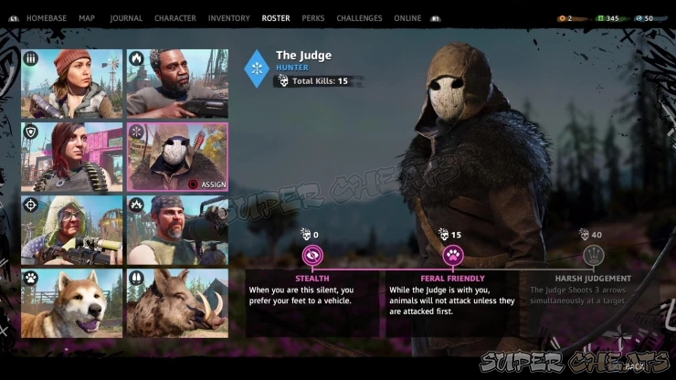 Guide Image