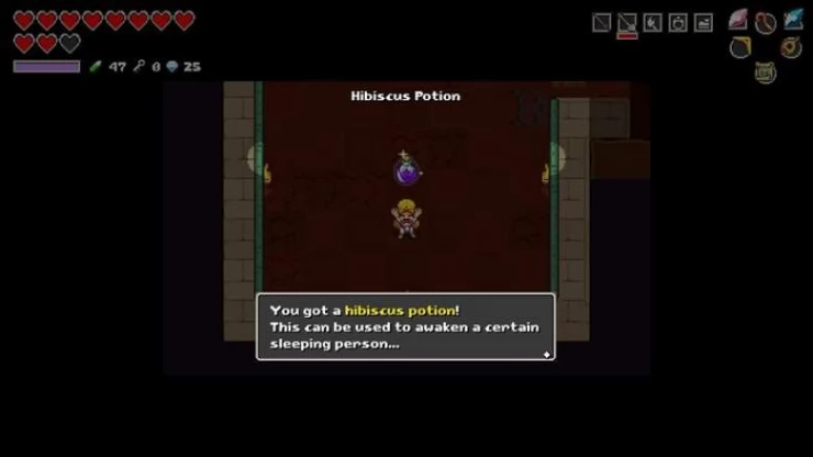 How to Get the Hibiscus Potion in Cadence Hyrule