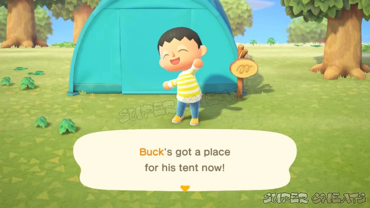 Setting up Neighbor's Tents