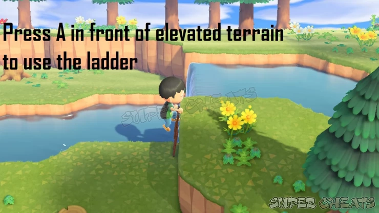 Use the Ladder to climb up or down terrain
