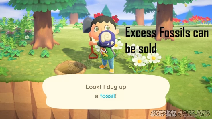 Fossils can be sold